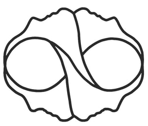 Image 3 Image 3